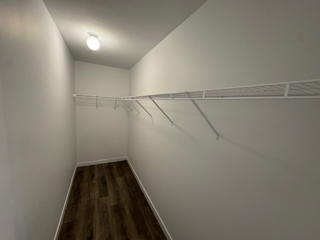 Gallery for 1074 E Park Street, P1074 at Conestoga: Image 1 of 21