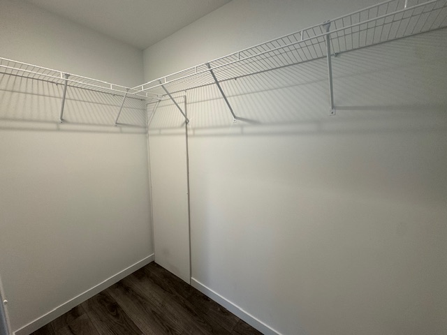 Gallery for 1050 E Park Street, P1050 at Conestoga: Image 30 of 31