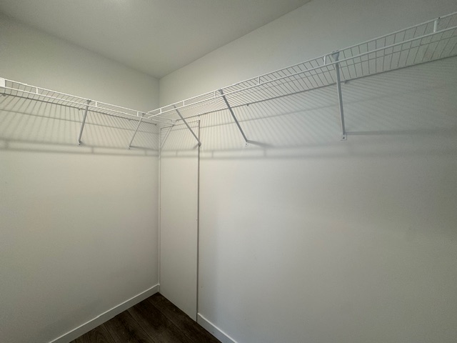 Gallery for 1050 E Park Street, P1050 at Conestoga: Image 8 of 31